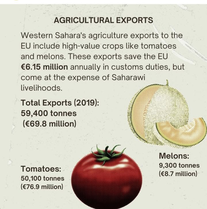 How much the EU taken saharawis in one year?