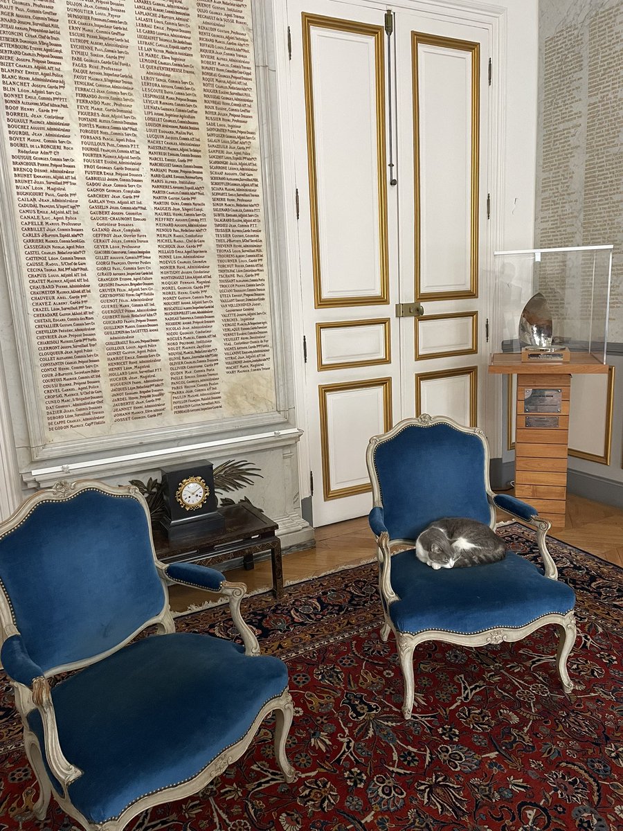 Gaël Sérandour (@handgs) on Twitter photo Réunion importante au cabinet du Ministère <a href="/outremer_gouv/">Ministère des Outre-mer</a> pour le financement des projets d’infrastructures numériques de la <a href="/BanqueDesTerr/">Banque des Territoires</a> J’ai enfin compris qui était le patron au Ministère…. Le chat paisible dans le salon d’attente 🐈⬛ #ronron #hoteldeMontmorin Réunion importante au cabinet du Ministère <a href="/outremer_gouv/">Ministère des Outre-mer</a> pour le financement des projets d’infrastructures numériques de la <a href="/BanqueDesTerr/">Banque des Territoires</a> J’ai enfin compris qui était le patron au Ministère…. Le chat paisible dans le salon d’attente 🐈⬛ #ronron #hoteldeMontmorin