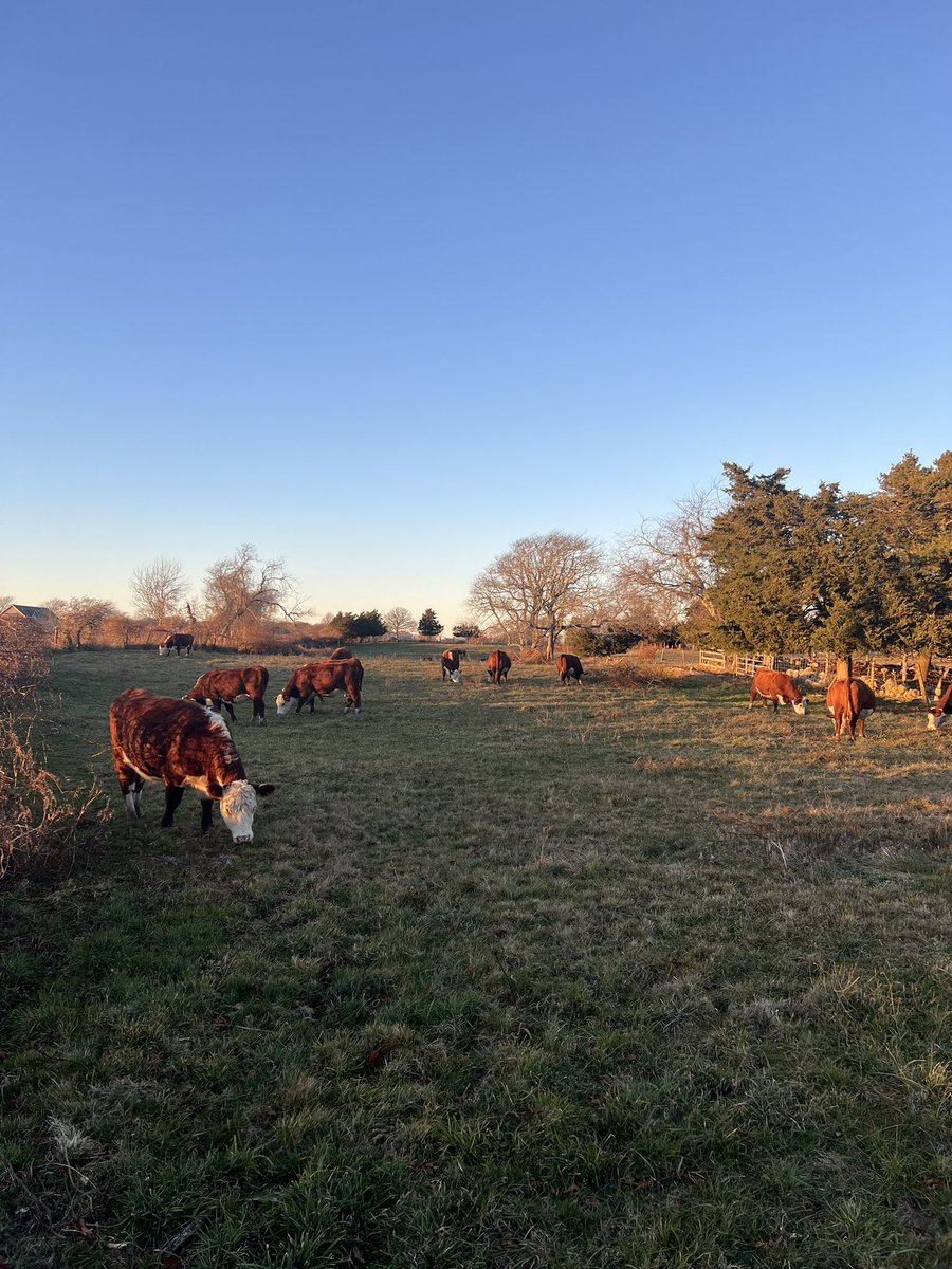 Arthur Kinsolving tweet media