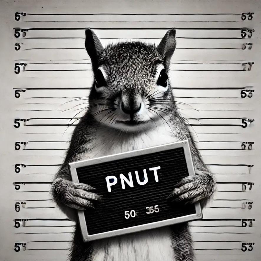35 Days and still no justice for PNut

Will we ever see justice for the squirrel that saved America? $PNUT