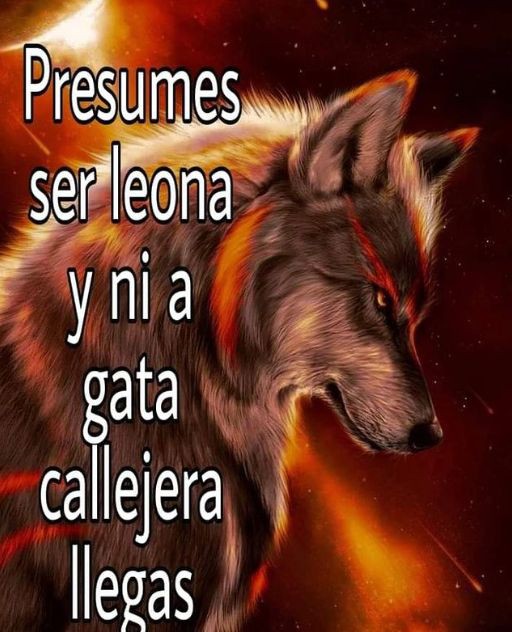 linmonwithyou's tweet photo. TOMBO EL QUE DIGA QUE NO A STRAY KIDS EN COLOMBIA POR SEMANA SANTA 🗿
#LaFechaNOIMPORTA #QueremosAStrayKids
#SKZEnColombia

@Stray_Kids @jypnation
@OcesaColombia
@paramo_presenta
@LiveNation @LiveNationKpop https://t.co/EajFl9WzAt