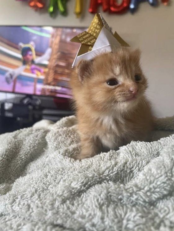 His new hat made him smile