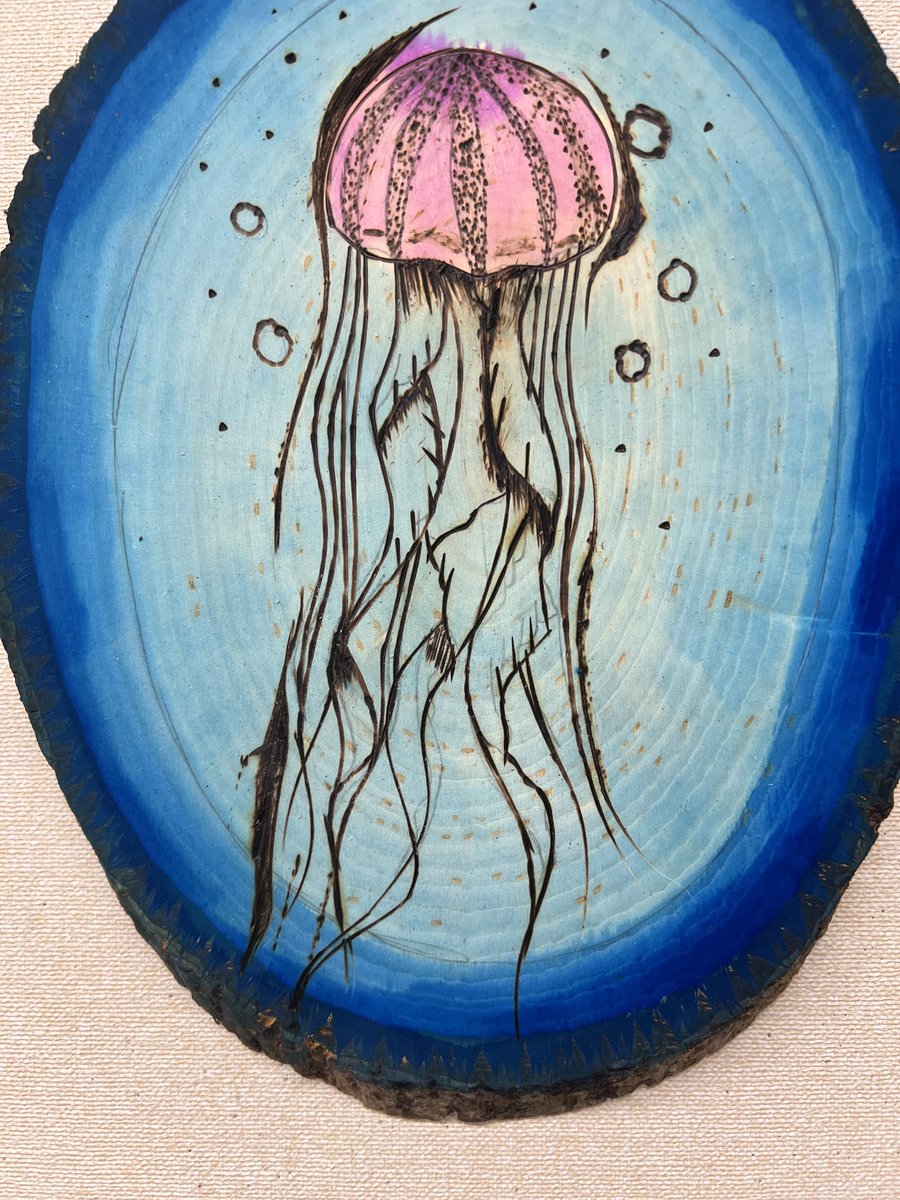 kuzminart's tweet photo. Amazing  pyrography from Applied Arts and Design 2!  First they applied 7 pen and ink techniques with a soldering iron then they added watercolor to the wood plaques!  ⁦@MTPSpride⁩ ⁦@Frank_Cap1_BOE⁩ https://t.co/f7oj5dXaie