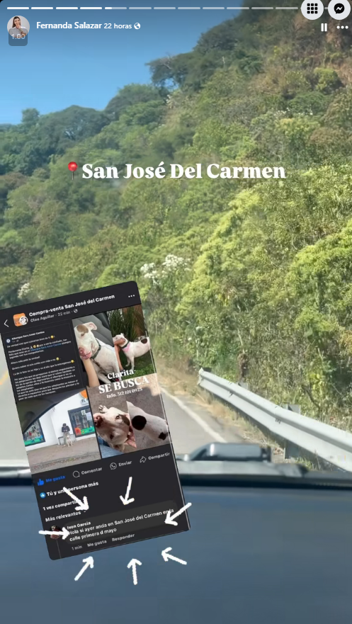 Oscar Adrián tweet media