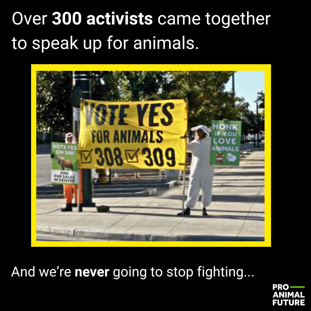 We may not have shut down the slaughterhouse that's trashing Denver, but we still won in ways that matter!