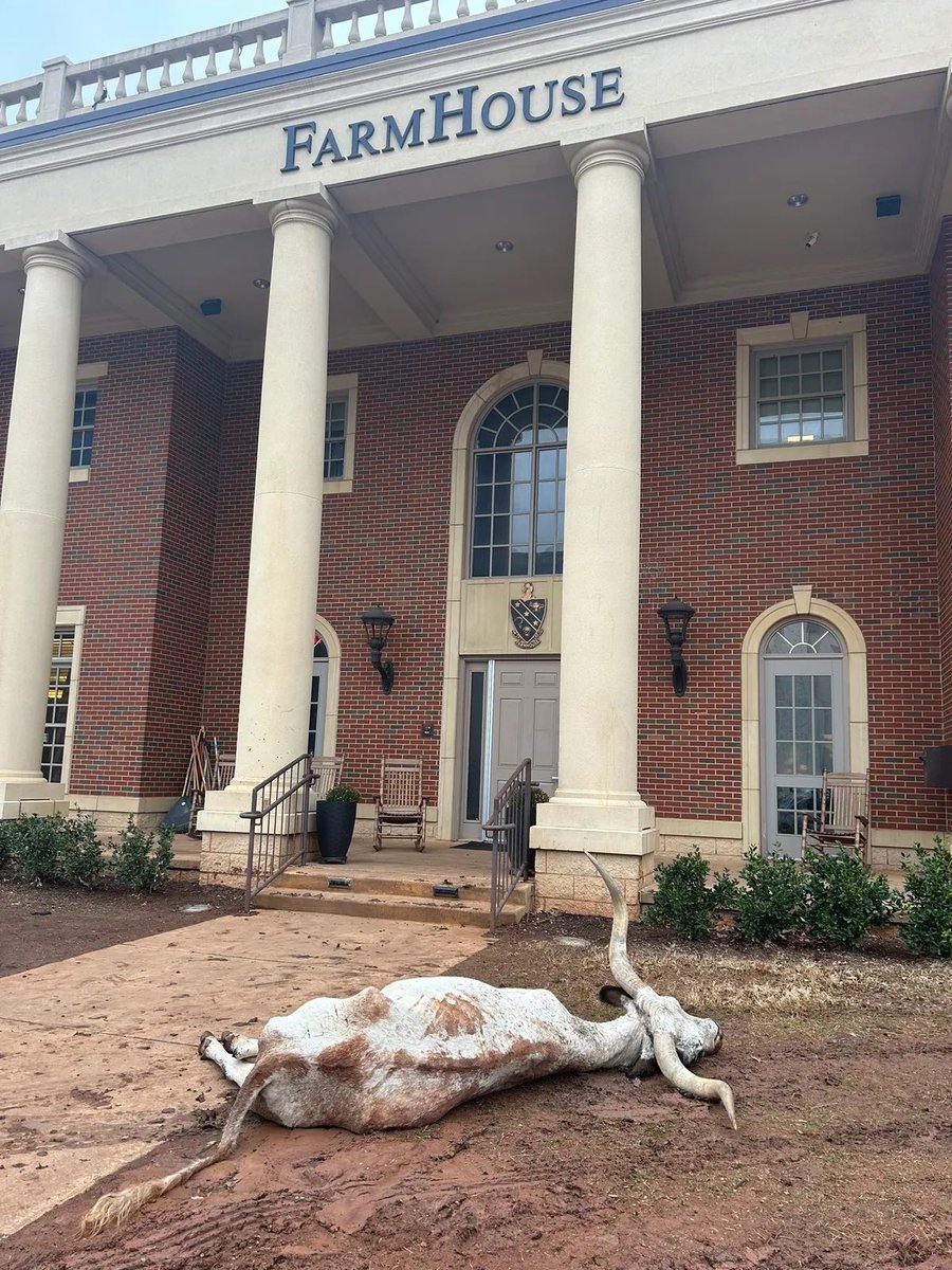 Horns fucking down
