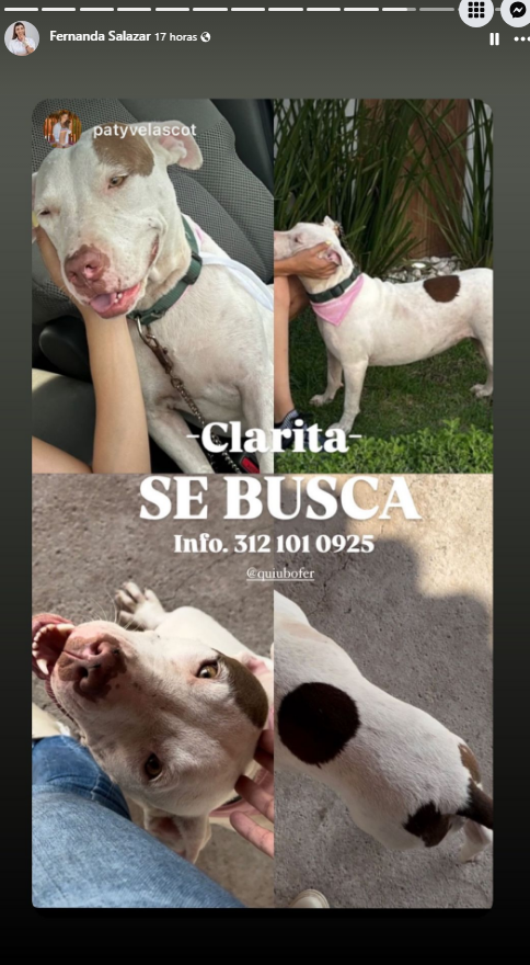 Oscar Adrián tweet media