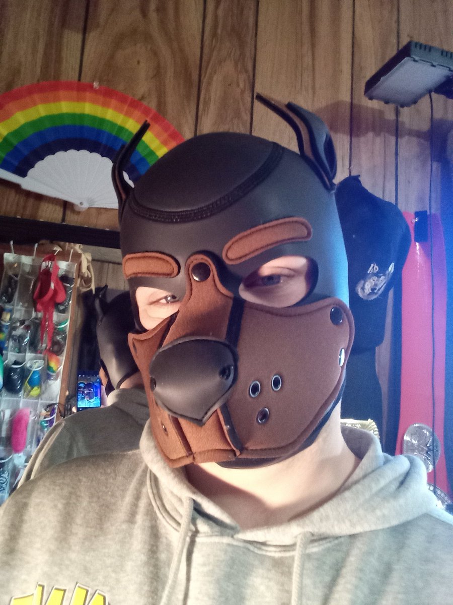 Spiderpup358 tweet media