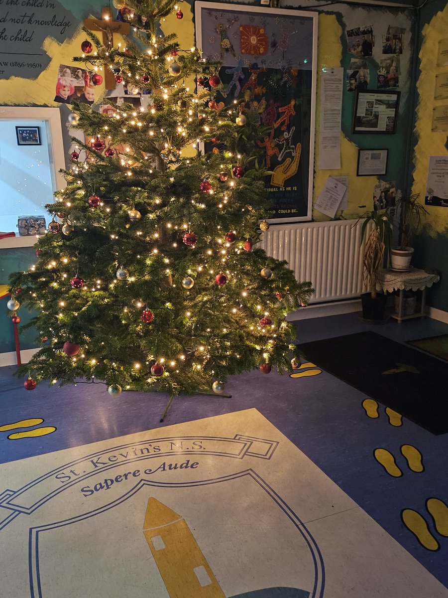 The school Christmas tree is up, huge thanks to our beloved Orla, who always creates an amazing tree, every year! And we might just say, it shines like everyone in the staffroom here, with its sparkle, colour and joyful presence! 🎅🧑‍🎄🤶🎄🎄🌲🌲💙💙💙💙🎁🎁