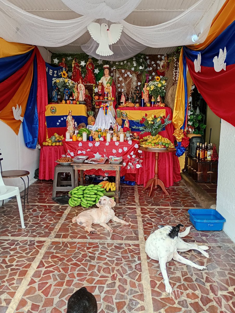 FRPPuentes's tweet photo. Hoy día de Santa Bárbara interceda por Venezuela mi patria de malas influencias. https://t.co/aJwwBvK0ct