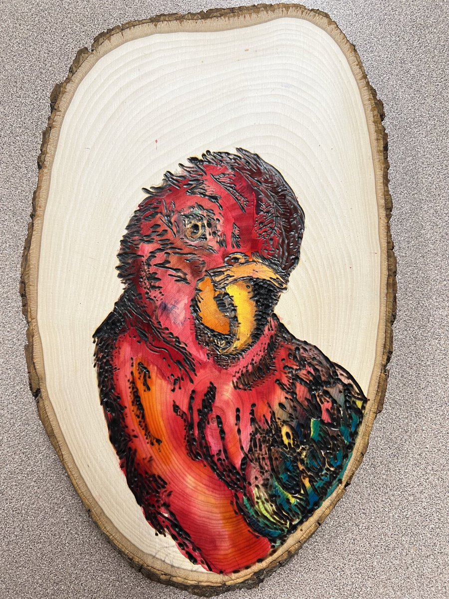 kuzminart's tweet photo. Allison Singerline, Arts Academy student created this beautiful parrot using a wood burning tool and watercolors!   Applied Arts and Design 2!  ⁦@MTPSpride⁩ ⁦@Frank_Cap1_BOE⁩ https://t.co/JJGq05wLfc