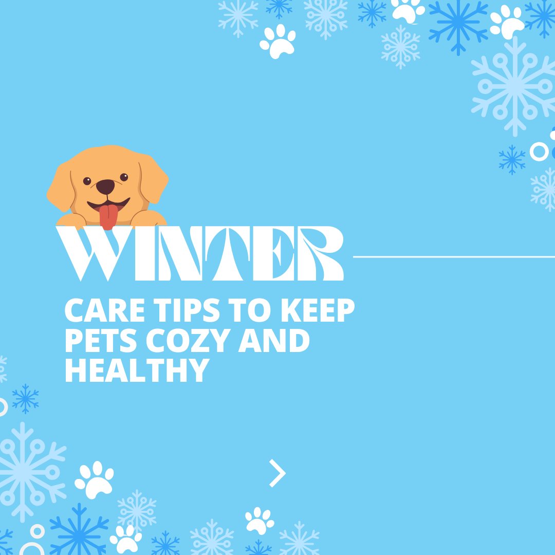 SymphonyVet's tweet image. Winter weather can be tough on pets. Keep them indoors, hydrated, and protect their paws with balm after walks. Schedule a winter wellness check today! #WinterPetCare #ColdWeatherPets #PetWellness
