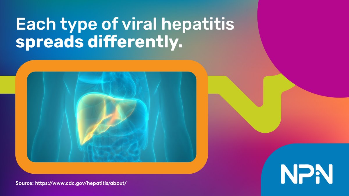 ❌ Fiction: All viral #hepatitis types are transmitted through needles or sexual contact.

✅ Fact: Some types of viral hepatitis are transmitted through needles or sexual contact, while others can spread through contaminated food and water.

Learn more: bit.ly/4i1uIVP