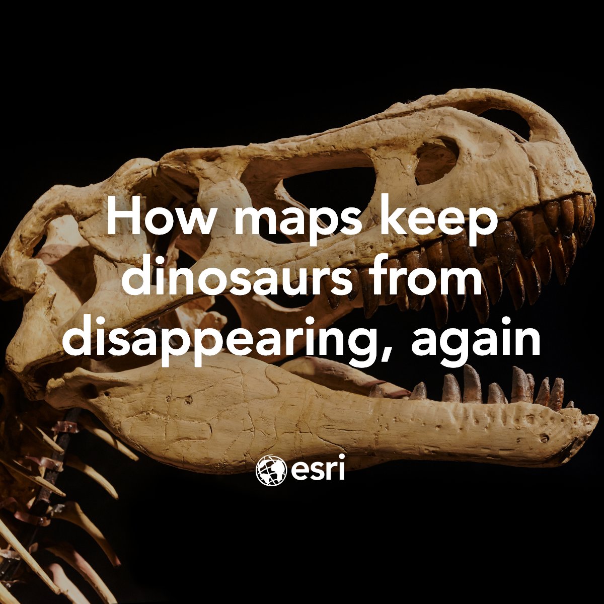 Scientists are revolutionizing fossil tracking by utilizing RFID tags and GIS mapping to create a shared map that will document dinosaur fossils discovered worldwide.🦕 esri.social/OwGo50T8WuF

#GIS #Fossils