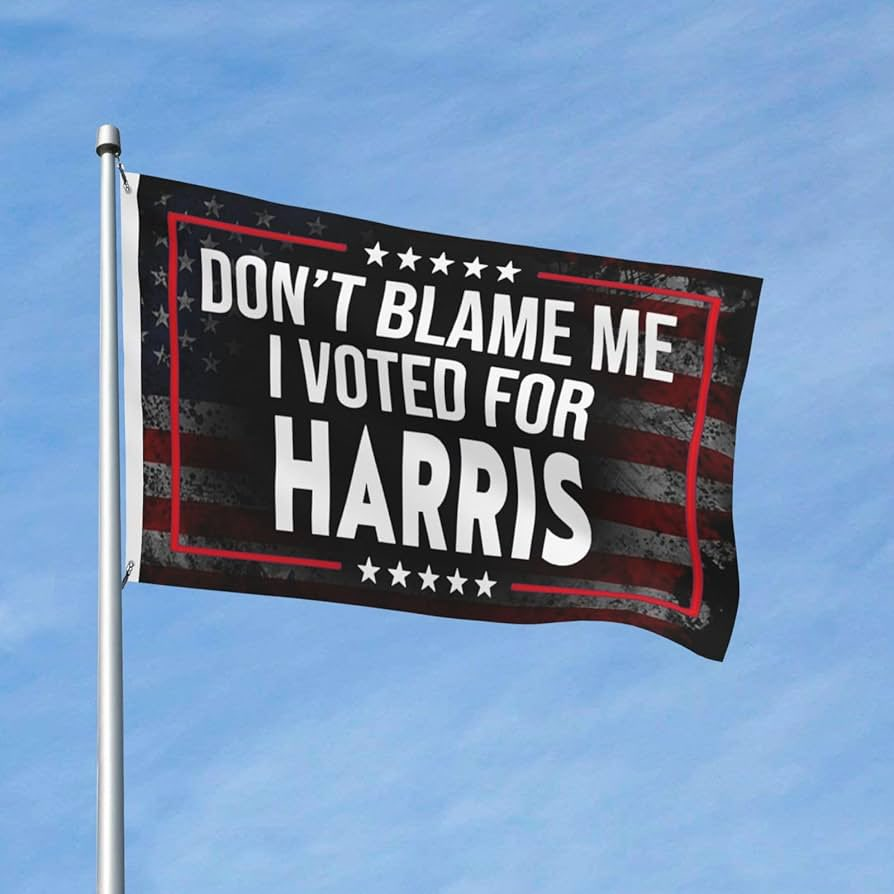 Damaan4u33's tweet image. If you voted for Kamala Harris drop a like and repost!  💙