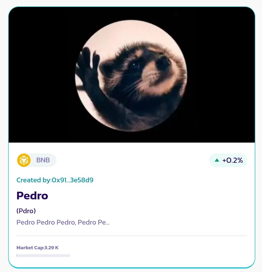 New #memecoins in #BNB chain, only in #PancakeSwap... You are early... Pdro/BNB