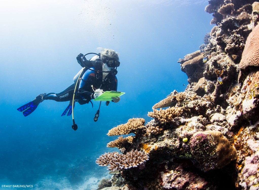WCS (@thewcs) on Twitter photo Thrilled that <a href="/datamermaid/">MERMAID</a> was chosen as a winner of the <a href="/AWS_Nonprofits/">AWS Nonprofits</a> IMAGINE Grant. With less than 15% of the world’s coral reefs monitored, it’s time to close the data gap with responsible AI and machine learning, says WCS’s <a href="/emilysdarling/">Dr Emily Darling</a>. bit.ly/4in4ehq Thrilled that <a href="/datamermaid/">MERMAID</a> was chosen as a winner of the <a href="/AWS_Nonprofits/">AWS Nonprofits</a> IMAGINE Grant. With less than 15% of the world’s coral reefs monitored, it’s time to close the data gap with responsible AI and machine learning, says WCS’s <a href="/emilysdarling/">Dr Emily Darling</a>. bit.ly/4in4ehq