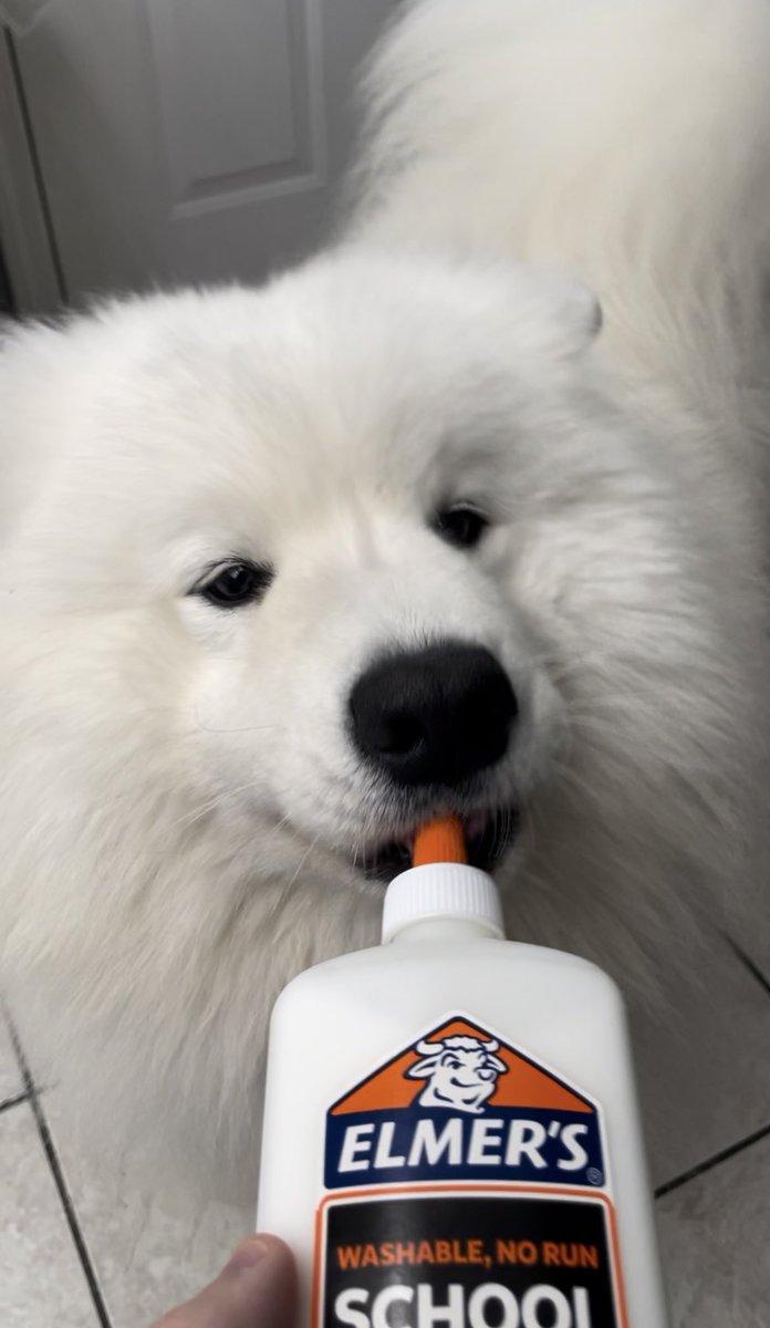 wayneradiotv's tweet image. He love this kind of milk ❤️