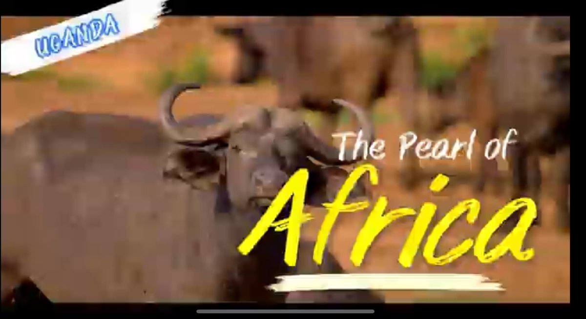 “It’s finally out! 🎥 

Don’t miss the amazing documentary Uganda, the Pearl of Africa: The Land of Hope and Heritage. 

🌍 Dive into the beauty, culture, and spirit of Uganda!”

Full video:
youtu.be/4geiAsx22tw?si…