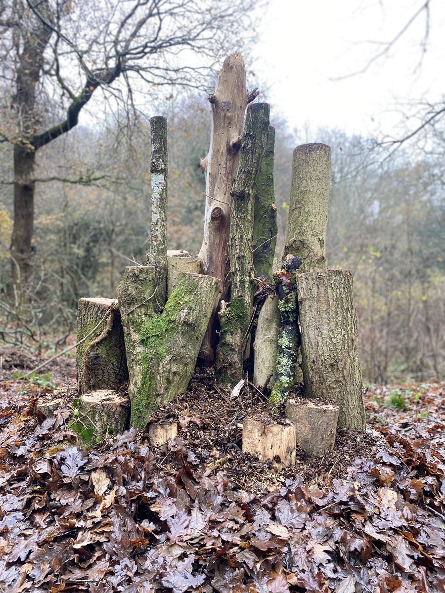 Had a lot of fun building up some new bug hotels at work today <a href="/DudleyNature/">DudleyNatureReserves</a>