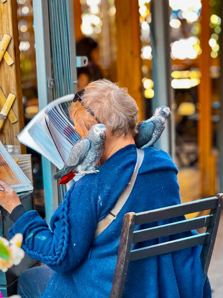 Crispybug_eth's tweet image. today I just went for a walk and didn&apos;t go to work and had rocks with lemon for dinner 🦪🍋