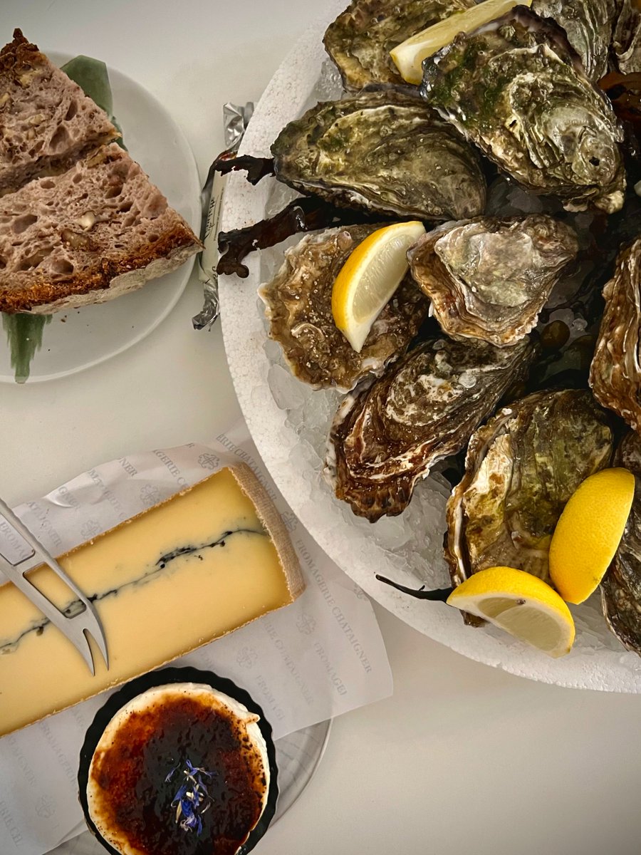 Crispybug_eth's tweet image. today I just went for a walk and didn&apos;t go to work and had rocks with lemon for dinner 🦪🍋