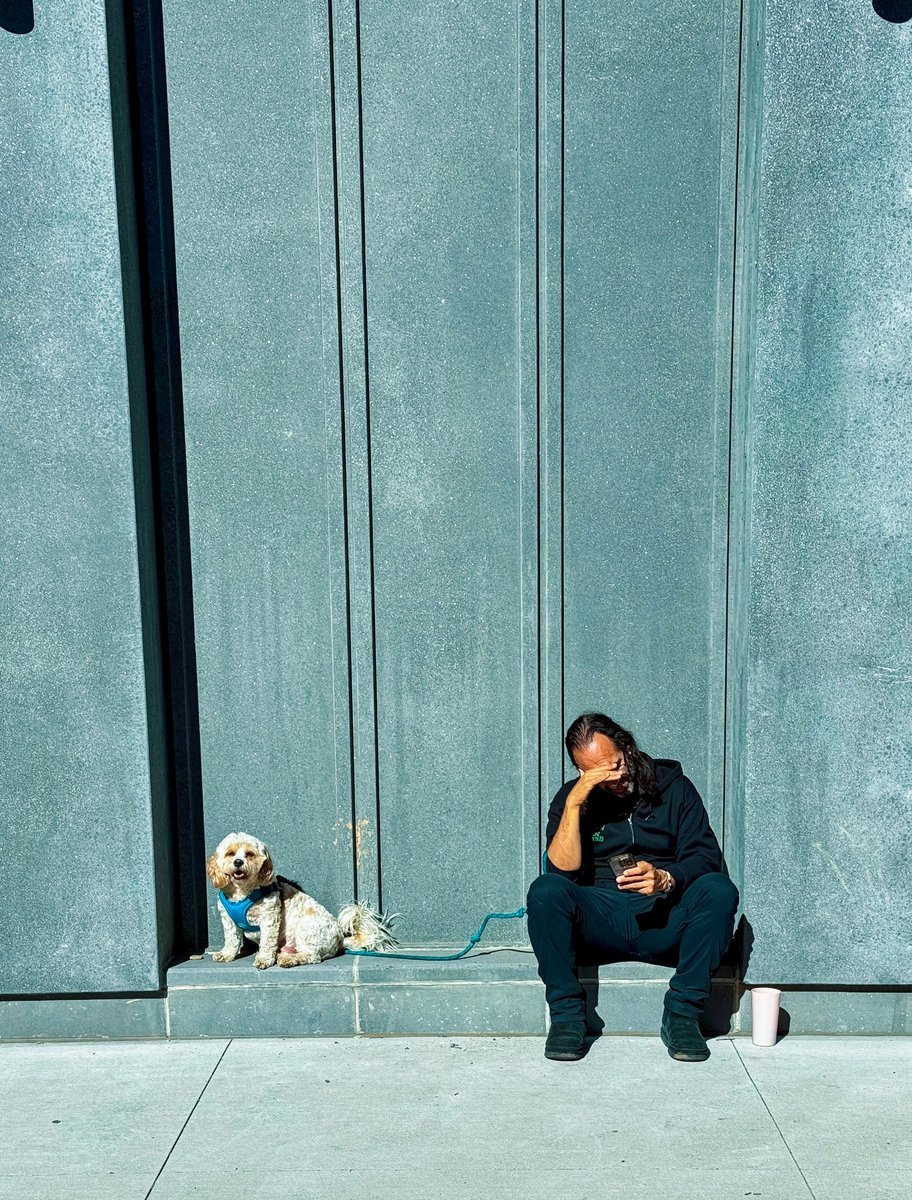 Crispybug_eth's tweet image. today I just went for a walk and didn&apos;t go to work and had rocks with lemon for dinner 🦪🍋