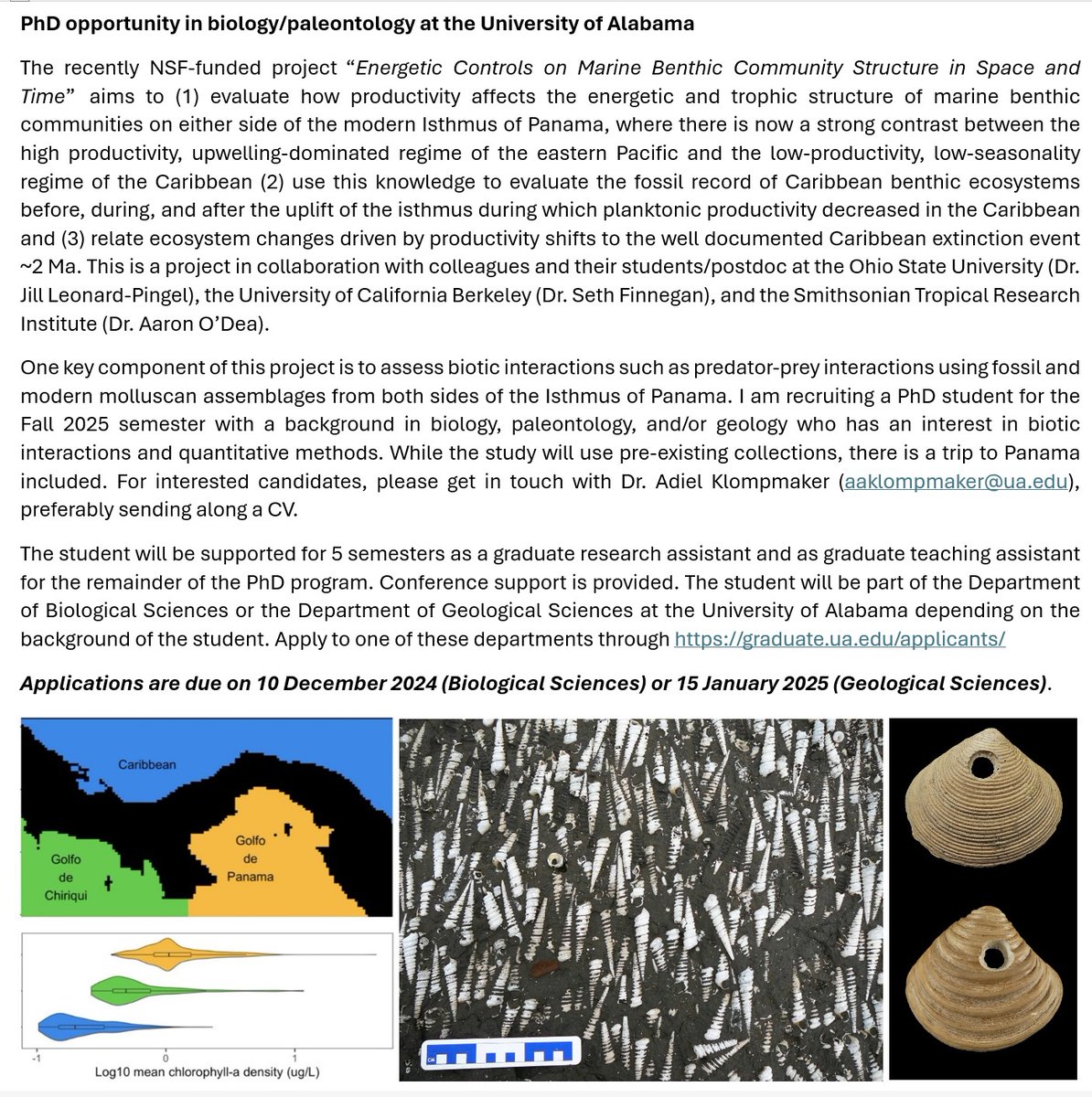 Dr. Adiel Klompmaker @paleoadiel.bsky.social (@paleoadiel) on Twitter photo Still time left to apply: ‼️For the Fall 2025 semester, I am looking for a PhD student to study biotic interactions in fossil and modern mollusks from the Isthmus of Panama. Please share widely, and get in touch if interested. <a href="/UAMNH/">Alabama Museum of Natural History</a> <a href="/uamuseums/">UA Museums</a> @UA_AS <a href="/NSF/">U.S. National Science Foundation</a> Still time left to apply: ‼️For the Fall 2025 semester, I am looking for a PhD student to study biotic interactions in fossil and modern mollusks from the Isthmus of Panama. Please share widely, and get in touch if interested. <a href="/UAMNH/">Alabama Museum of Natural History</a> <a href="/uamuseums/">UA Museums</a> @UA_AS <a href="/NSF/">U.S. National Science Foundation</a>
