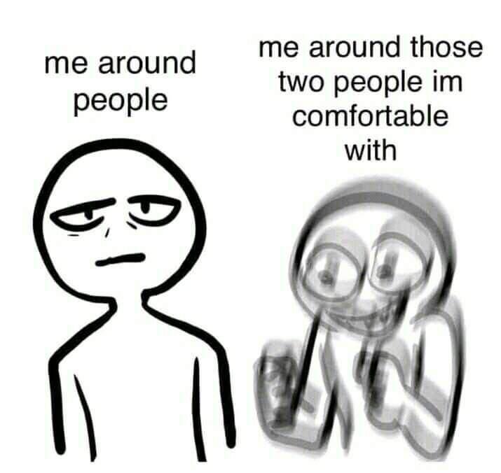 WholesomeMemes tweet media
