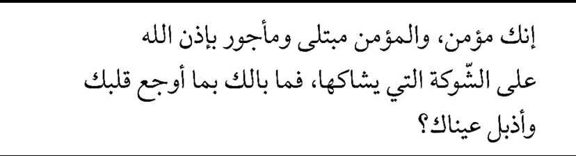 كانون الأول tweet media