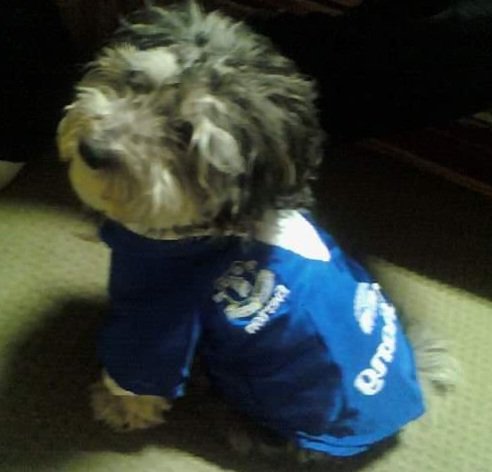 pavalouch's tweet photo. @Everton Come on, get the points tonight!! MAKE IT COUNT!! https://t.co/XJ1aqxuN8A