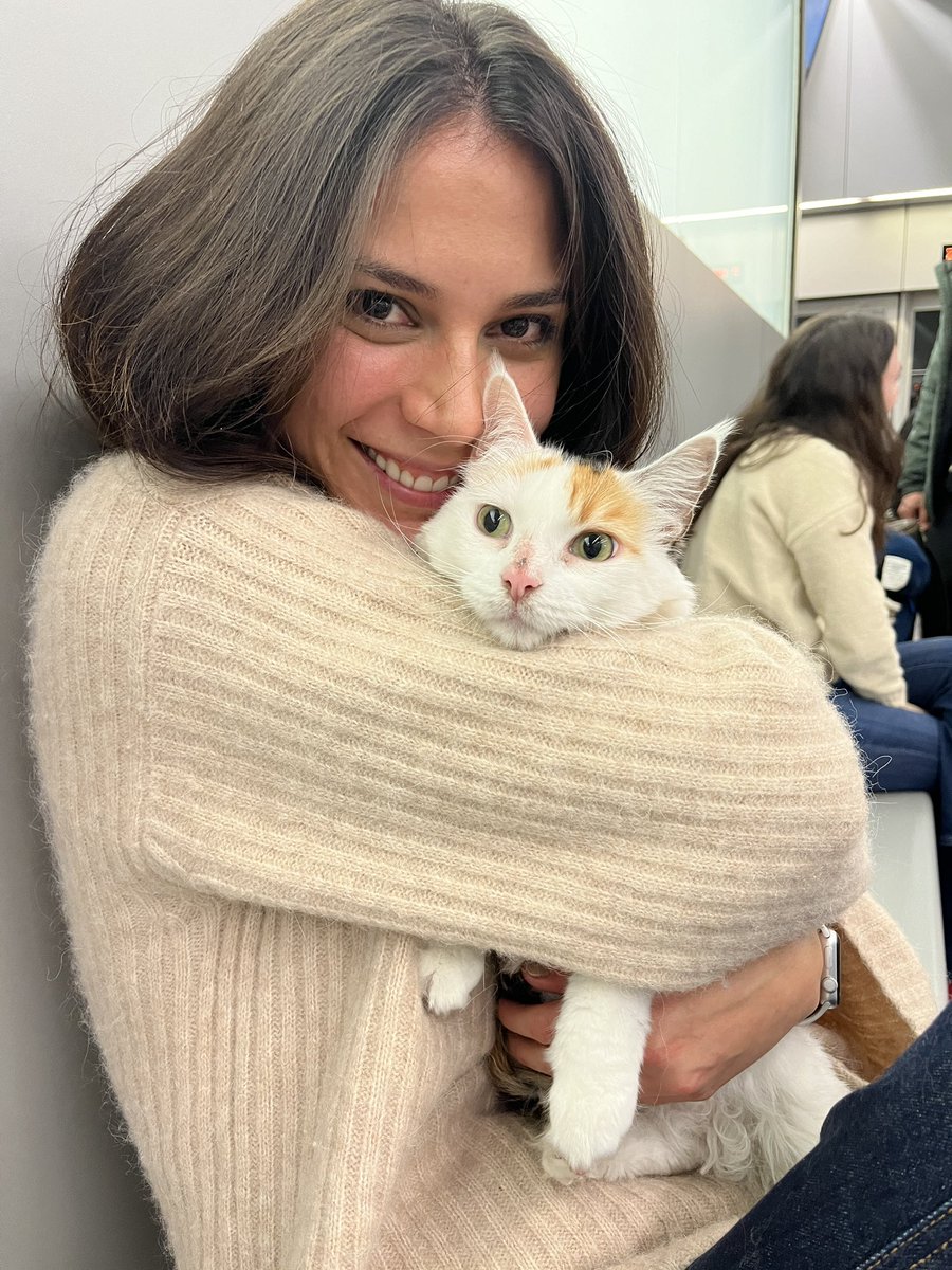 Después de 4 largos años mi gata y yo estamos juntas de nuevo, larga vida a nuestras amadas mascotas ❤️ bienvenida a España Zucchini ❤️‍🔥