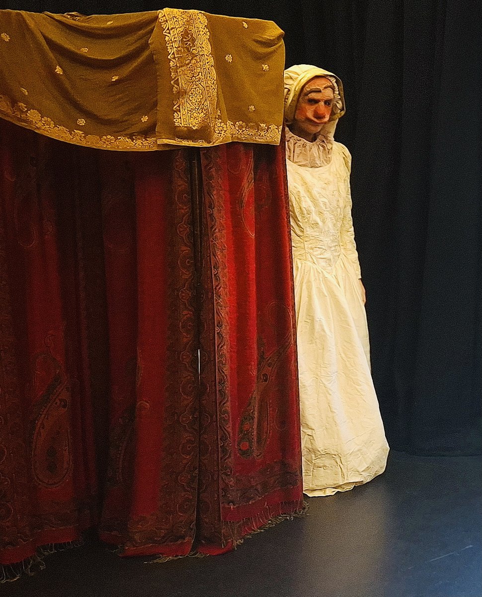 Pady O'Connor tweet media