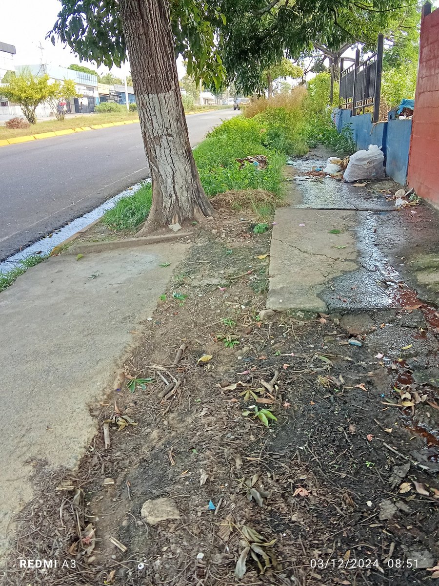 crespo2710's tweet photo. EL BLOQUE DE INTEGRACIÓN VECINAL 
Hace un llamado al alcalde en Caroni Tito Oviedo para que manden a recoger la basura,cortar el monte y destapar una cloaca que estan desapareciendo a unos 200 metros de aceras y brocales en la avenida Dallas costa cerca del colegio Pedro Briceño https://t.co/EiHtINY6AR