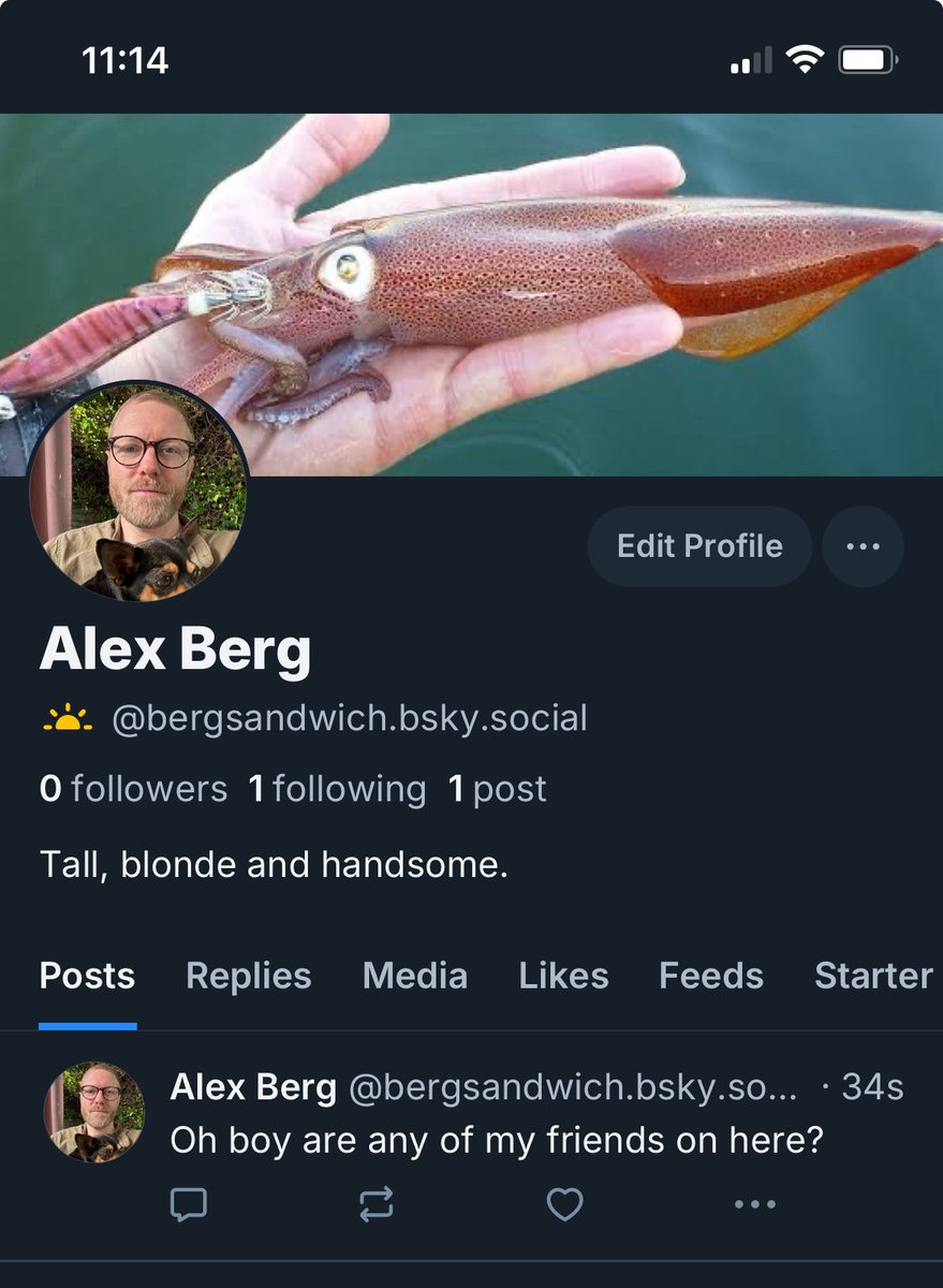 Ok you win. I’m on the other place 😉 now!