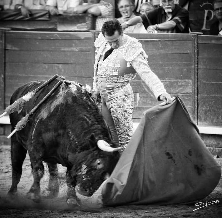 Don Rafaé El Pipo tweet media