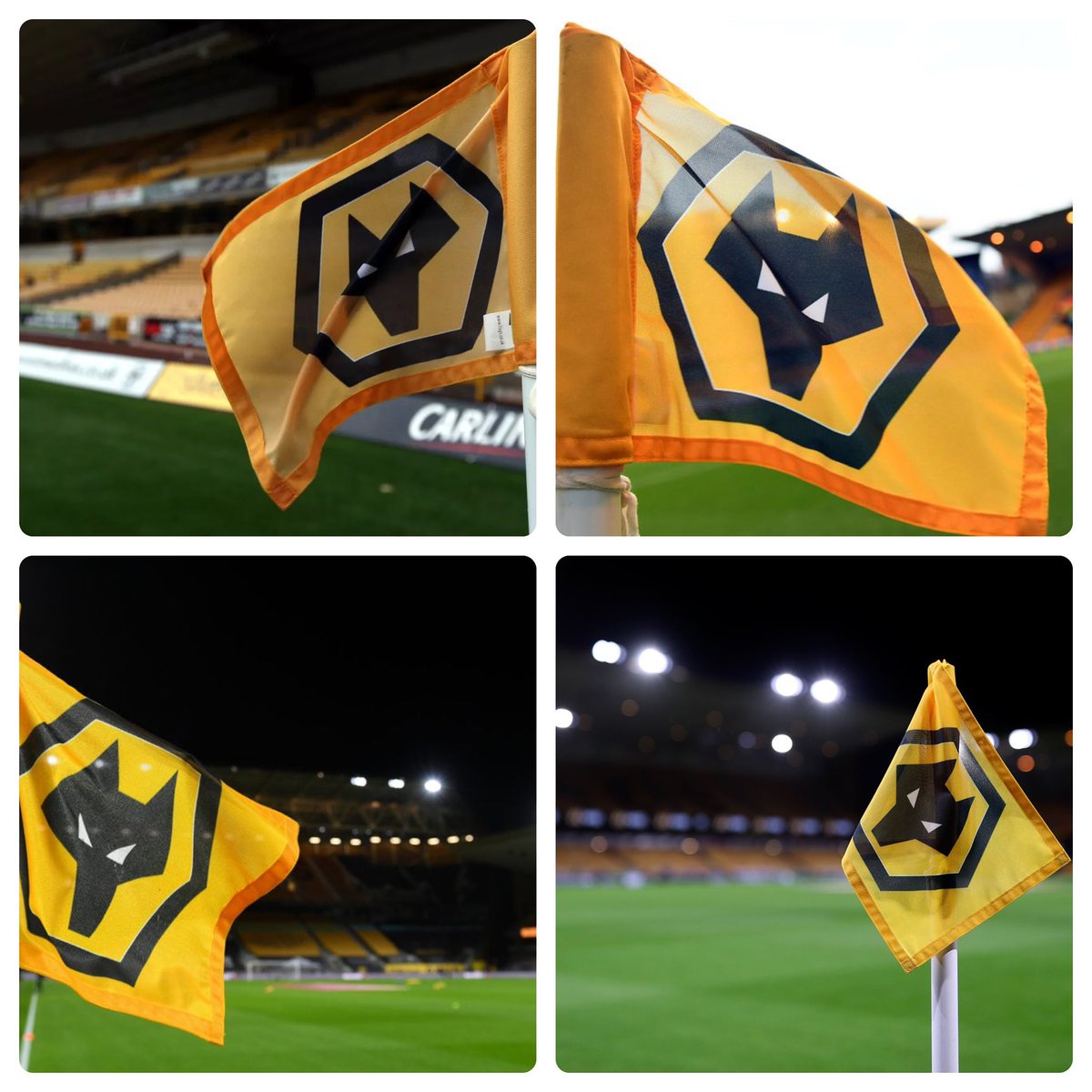 Lord Jason Guy 🐺 (@wolvespremier) on Twitter photo 