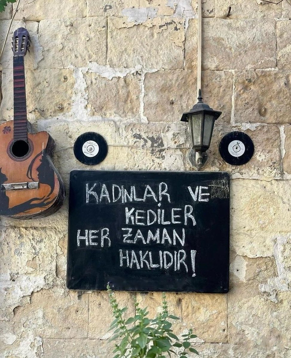 Azat (@venustekimezarr) on Twitter photo 