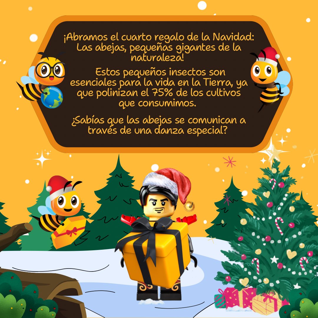 🌎  Abrimos el segundo regalo de nuestro Calendario de Adviento: ¡Las abejas, pequeñas gigantes de la naturaleza! 🎁  ¿Sabías que polinizan el 75% de los cultivos que consumimos? 🌎  ¡Su danza es vital para la vida en la Tierra! 🐝 #Abejas #Polinización