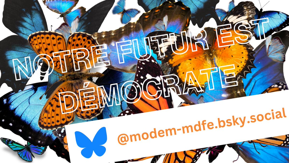 Démocrates français à l'étranger (@modem_mdfe) on Twitter photo 