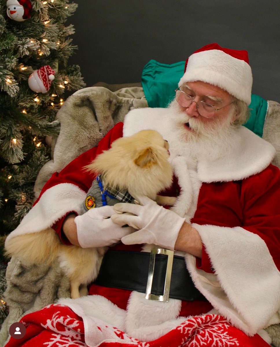 Santa will be hanging out with us THIS SATURDAY (12/7) at Top Dogs Pet Boutique in Roswell - 900 Mansell Rd - from 12-3! We will be doing photos with Santa for your fur babies for a $25 donation to RMG