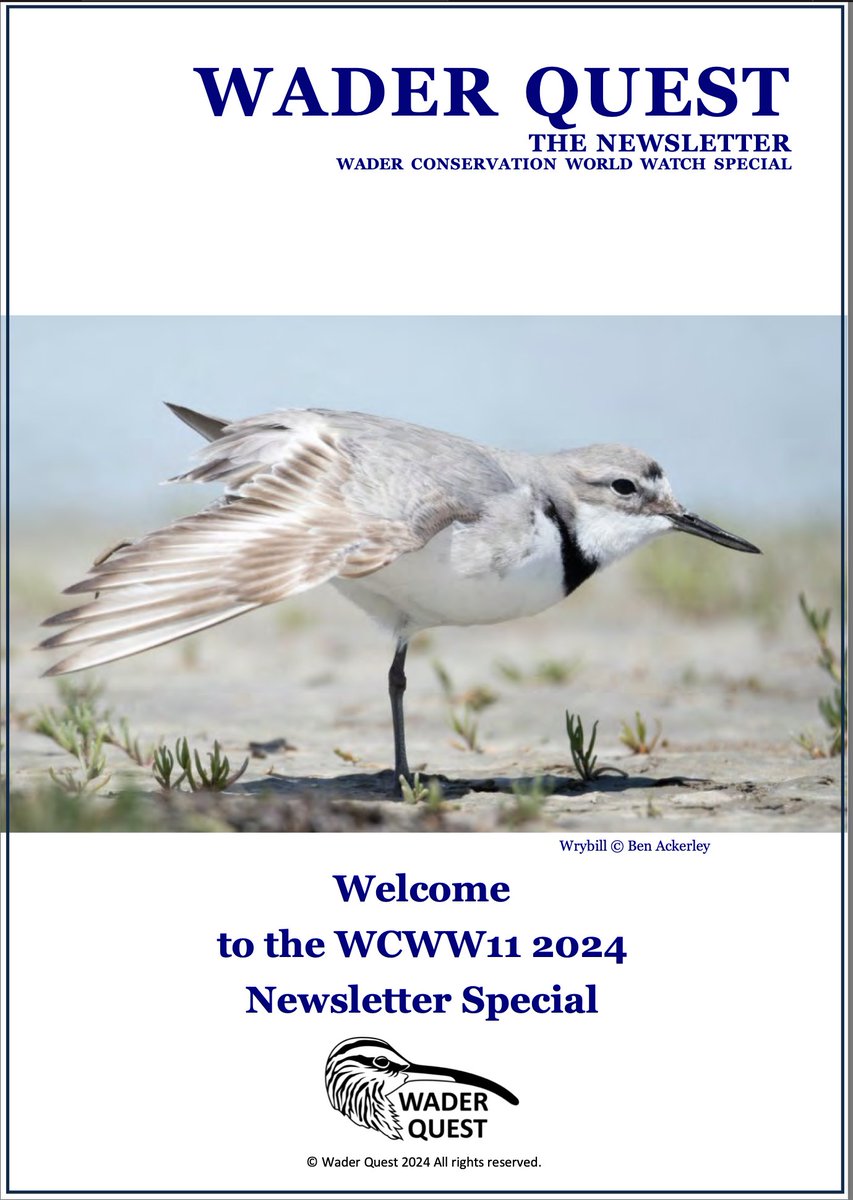 The 2024 WCWW11 newsletter has now been published with statistics, photos, artwork and articles about the event and conservation of waders around the world

📷 Link in our bio

Wrybill © Ben Ackerley

Be #inspired by #waders or #shorebirds
#WCWW24  #conservation #charity