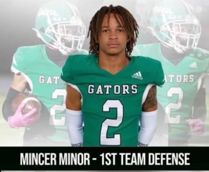 Mince Minor tweet media