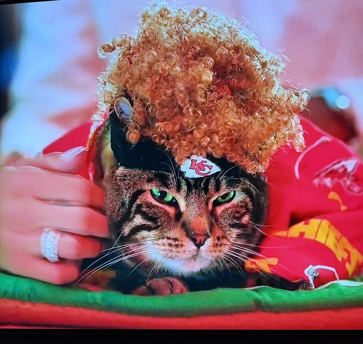 😂😂 I can not!!! Catrick Mahomes 😭 <a href="/hallmarkchannel/">Hallmark Channel</a> 👏🏻 #ChiefsKingdom
