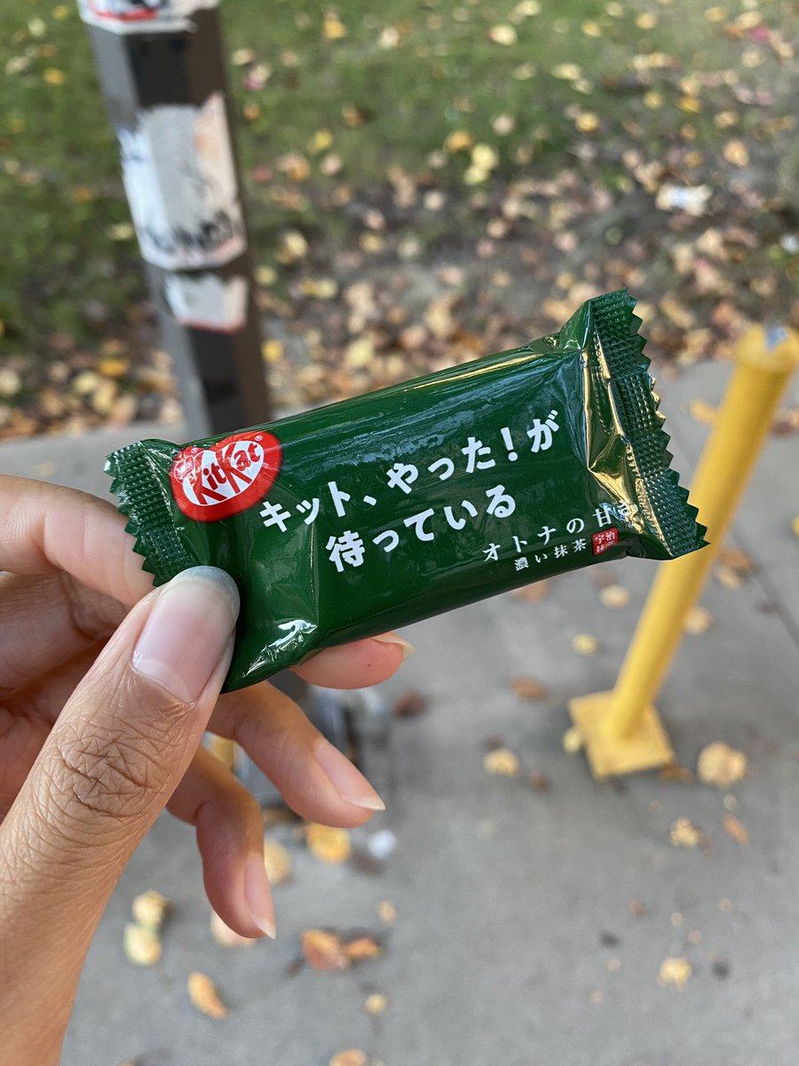 bloppart's tweet photo. 先日初めてJLPTを取った。Cal State LAでした。小学生から中学生まで土曜日へこの大学で美術じゅぎょうを取ったに行った。強くなったたくさん習った好きな友達作った。なつかしい！

今回JLPTN5を取った。来年JLPTN4を取ってでくと思う。また勉強する時間です！

#JLPT#日本語能力試験 https://t.co/fAX1X2st85