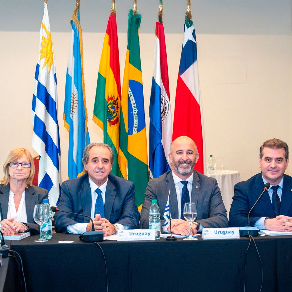 FEDESUD_oficial tweet media