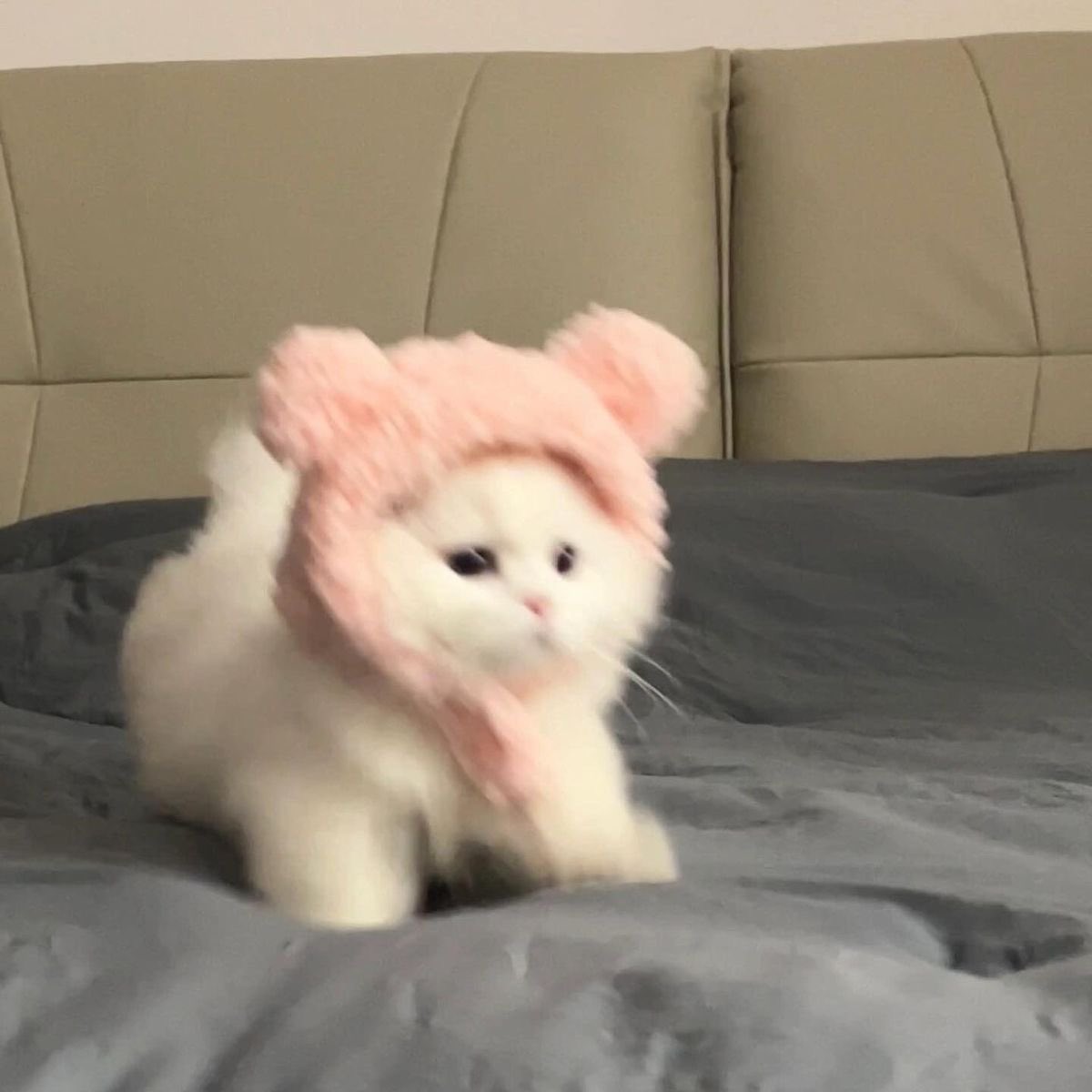 misslaurynttv's tweet photo. i am now working w @StarforgePCs
use my code!
btw it’s cyber monday so they have a $400 off sale :))
#StarforgePc #CyberMonday
https://t.co/O0lr0GMHjB https://t.co/rFNkuPAjaM