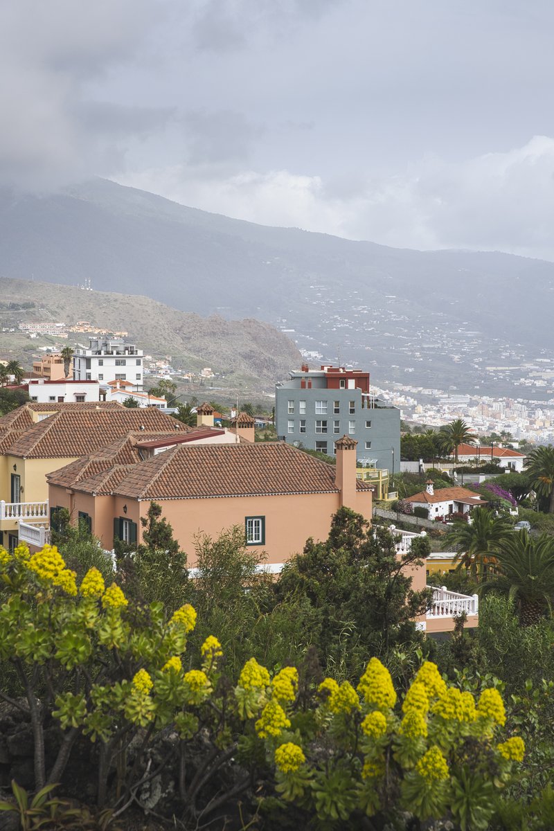 mauro_fotos's tweet photo. Y mañana más...
-San José, Breña Baja-
#LaPalma #Bejeques #mauro_fotos https://t.co/8UVQk5NHBu