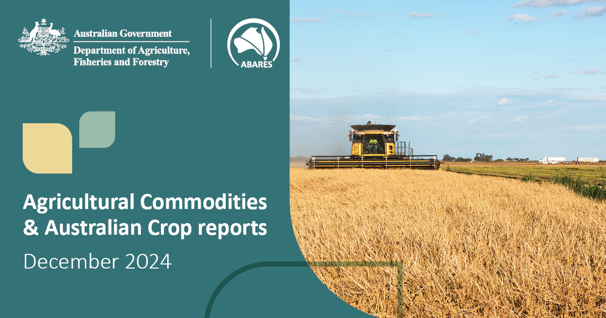 📈 Aussie farming, fisheries and forestry production value is forecast to reach $94.3b in 2024-25, with more favourable conditions in most major growing regions, and a rise in livestock export values expected.

👉 See the latest ABARES forecasts here: brnw.ch/21wP8Nr
