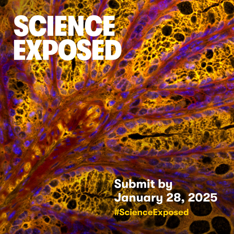 UofRegina's tweet photo. Show us your research, #UofRegina! 📸

Submit a vibrant or unique image of your research to the Science Exposed contest and you could win $2,000 and have your work seen Canada-wide!

Click below to learn more ⤵ 
_______________________________
@NSERC_CRSNG @_Acfas @FGSR_UofR